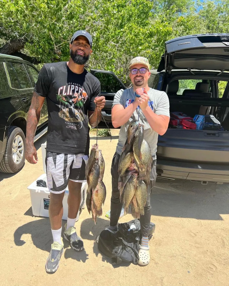 都得到了提 都得到了提