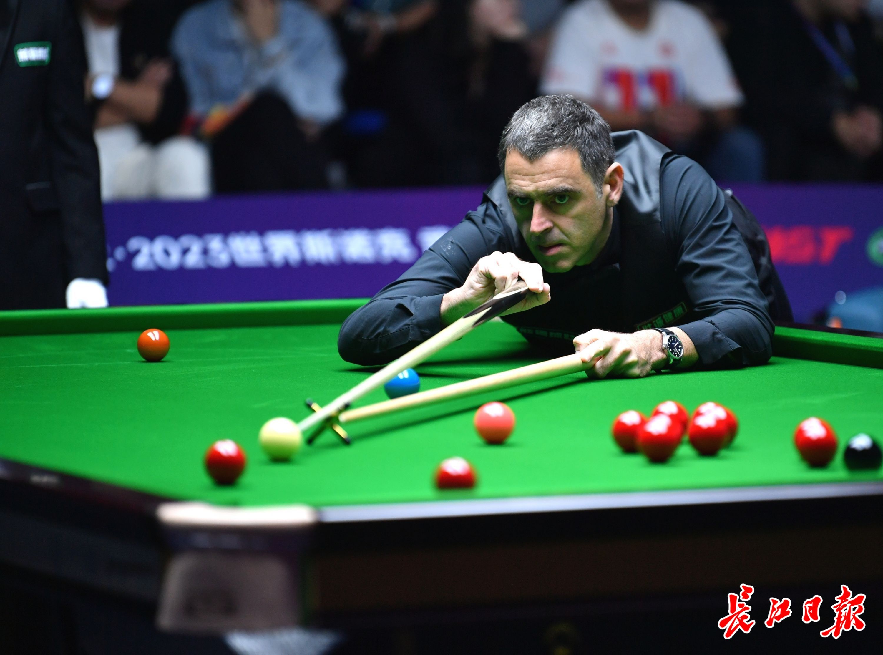 的独特魅力 的独特魅力